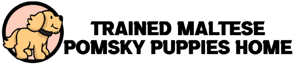 trainedmaltesepomskypupshome.com