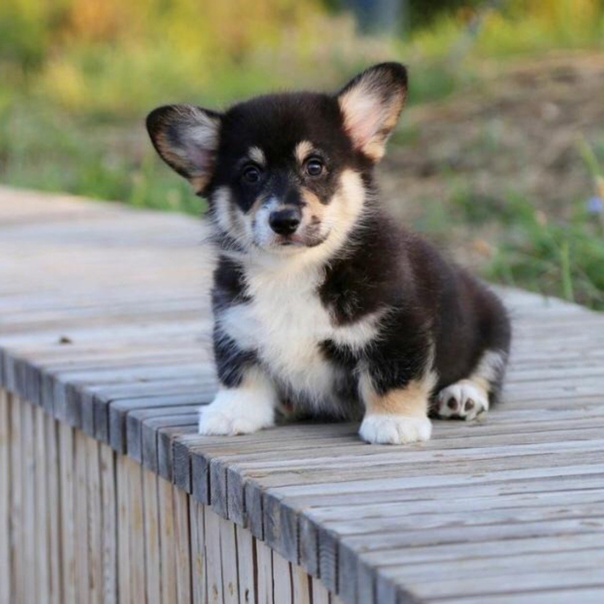 Promo-Facebook-Facebook instant articles (6)